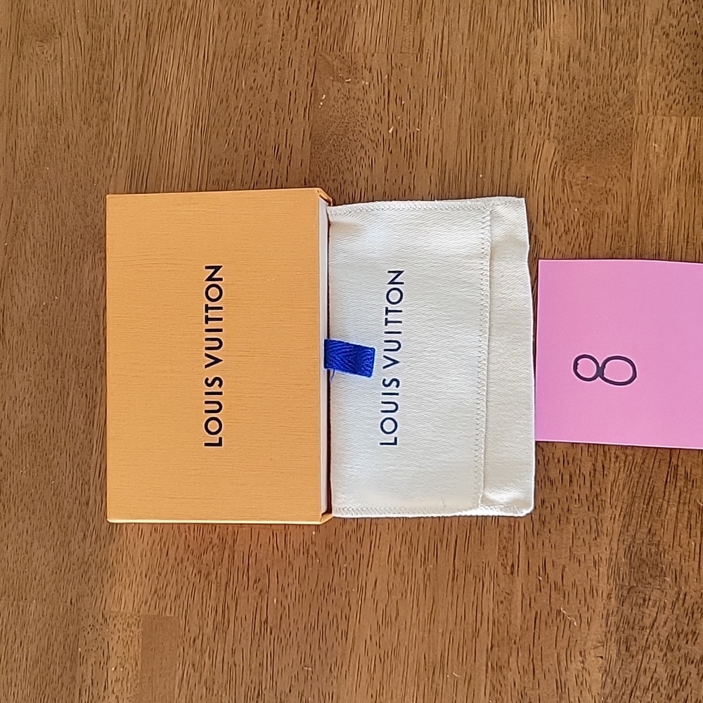 Empty LV Box with dustbag